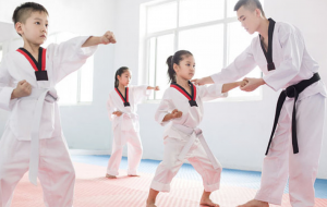 How can taekwondo instructor help you in your training?